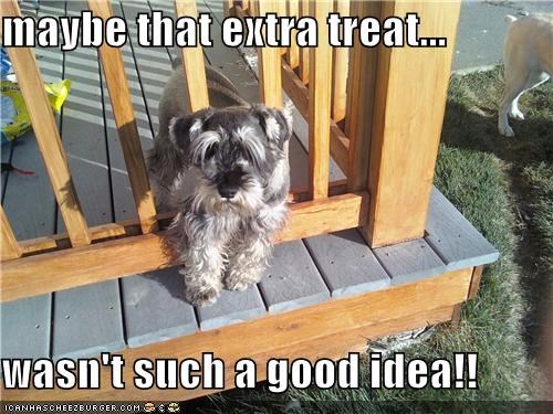 maybe that extra treat...  wasn't such a good idea!!