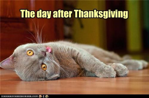 The day after Thanksgiving