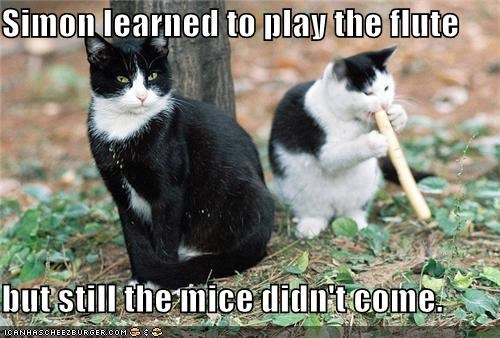Simon learned to play the flute  but still the mice didn't come.
