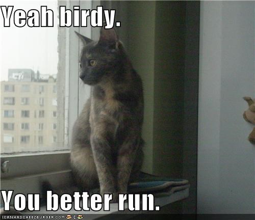 Yeah birdy.  You better run.