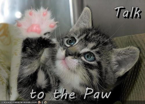 Talk  to the Paw