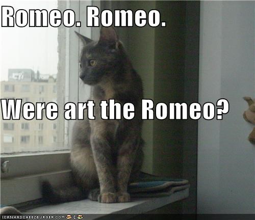 Romeo. Romeo. Were art the Romeo?