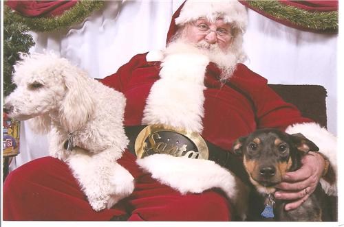 Santa Has Mad Pet Allergies