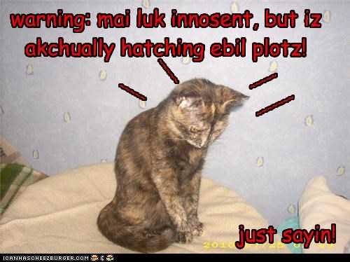 warning: mai luk innosent, but iz akchually hatching ebil plotz!