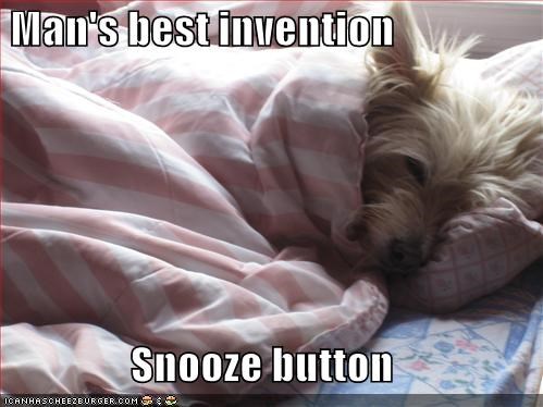 Man's best invention  Snooze button