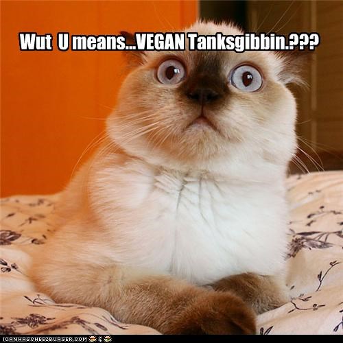 Wut  U means...VEGAN Tanksgibbin.???