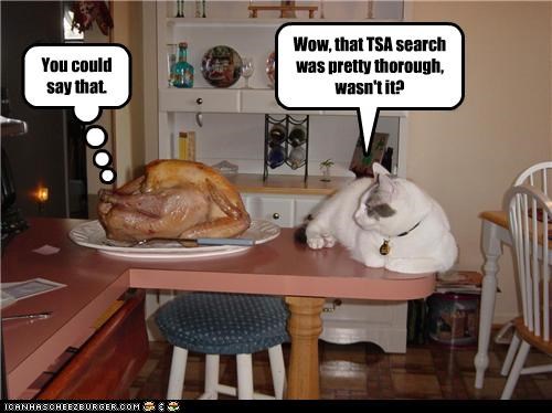 Wow, that TSA search was pretty thorough, wasn't it?