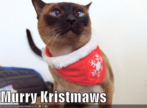 Murry Kristmaws