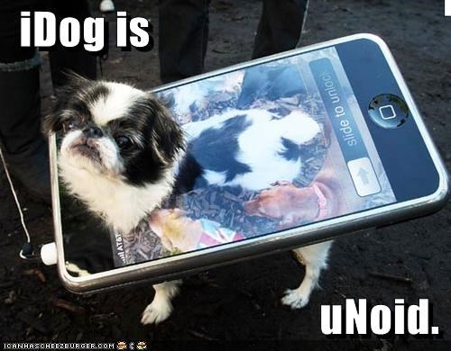 iDog is                                      uNoid.