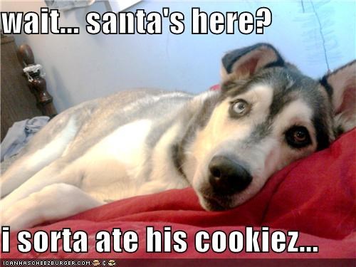 wait... santa's here?  i sorta ate his cookiez...