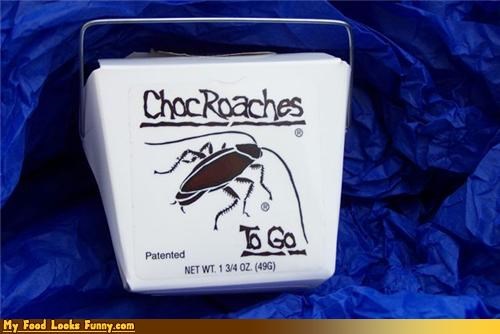 For the City Mouse in Your Family