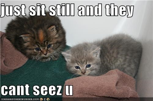 just sit still and they  cant seez u
