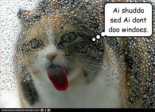 Ai shudda sed Ai dont doo windoes.