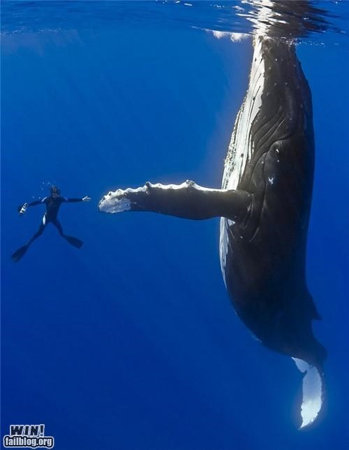 Epic High Five WIN