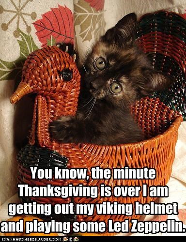 You know, the minute Thanksgiving is over I am getting out my viking helmet and playing some Led Zeppelin.