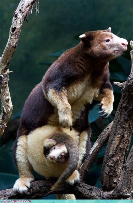 Mama's boy!