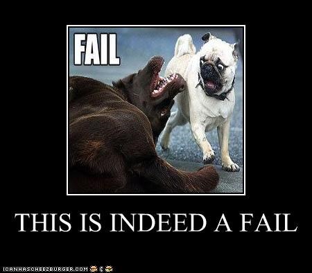 THIS IS INDEED A FAIL