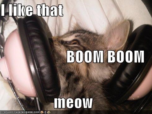 I like that BOOM BOOM meow