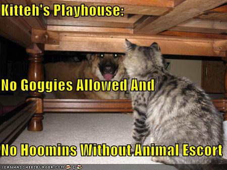 Kitteh's Playhouse: No Goggies Allowed And No Hoomins Without Animal Escort
