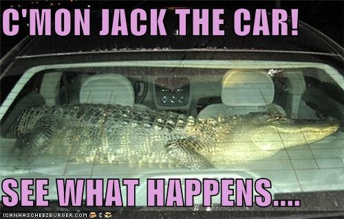 C'MON JACK THE CAR!  SEE WHAT HAPPENS....