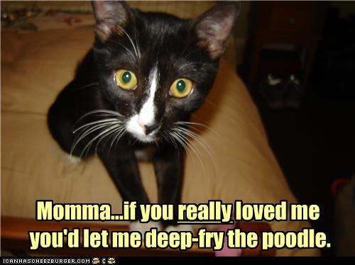 Momma...if you really loved me  you'd let me deep-fry the poodle.