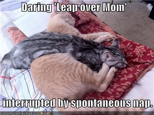 Daring 'Leap over Mom'    interrupted by spontaneous nap.