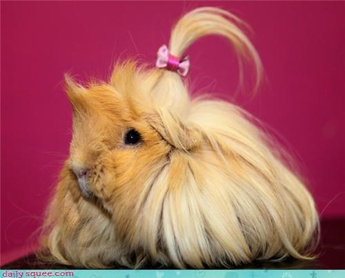 Squee Spree: Lovely Locks 