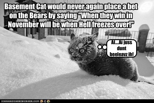 Basement Cat would never again place a bet on the Bears by saying "When they win in November will be when Hell freezes over!"