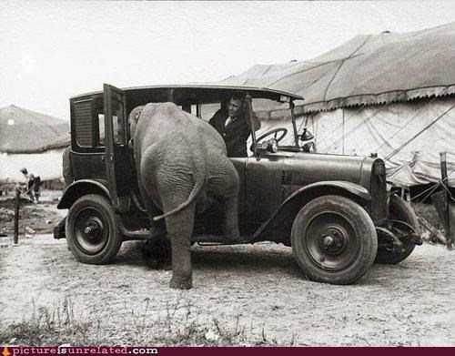 Are You Sure Your Mother-In-Law is Gonna Fit?