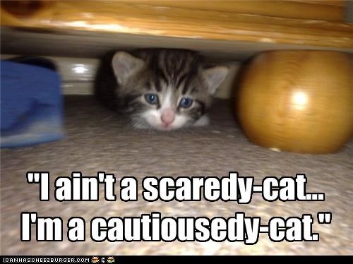 "I ain't a scaredy-cat... I'm a cautiousedy-cat."