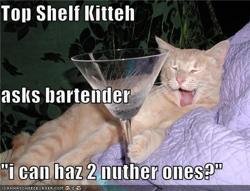 Top Shelf Kitteh asks bartender "i can haz 2 nuther ones?"