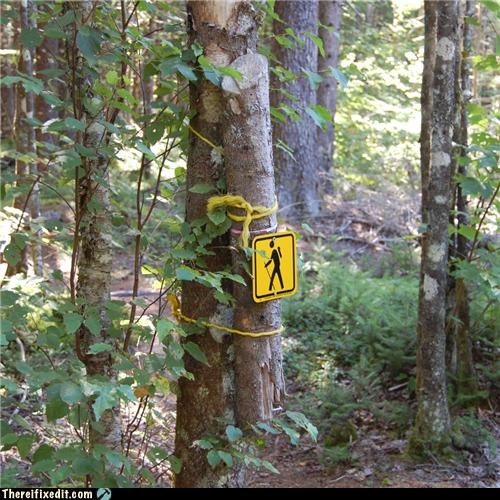 If A Sign Falls in the Forest...
