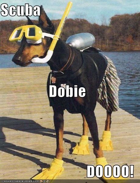 Scuba Dobie DOOOO!
