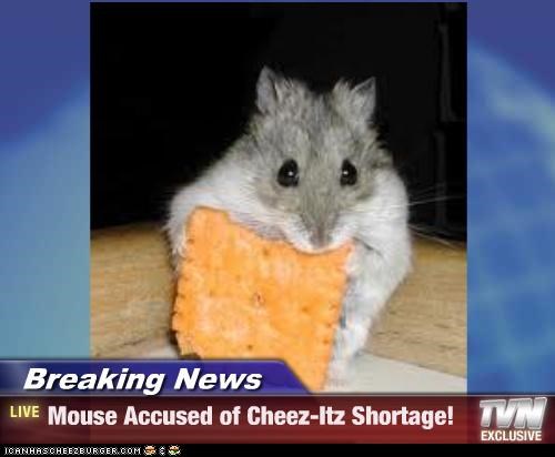 Breaking News - Mouse Accused of Cheez-Itz Shortage!