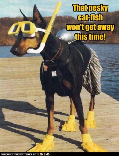 That pesky cat-fish...