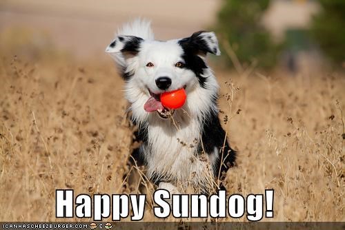 Happy Sundog!