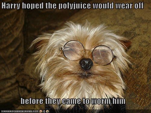 Harry hoped the polyjuice would wear off   before they came to worm him