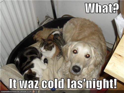 What?  It waz cold las'night!