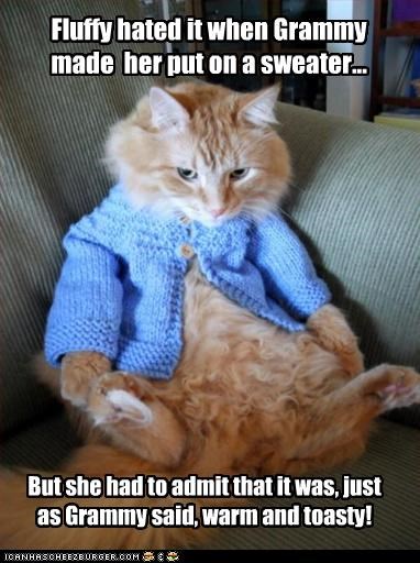 Fluffy hated it when Grammy made  her put on a sweater...