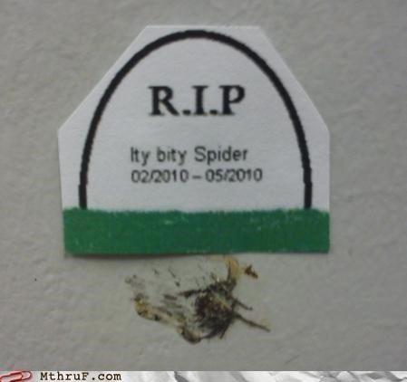 In Memoriam