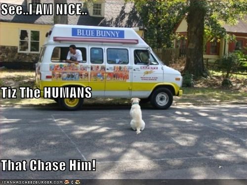 See..I AM NICE.. Tiz The HUMANS That Chase Him!