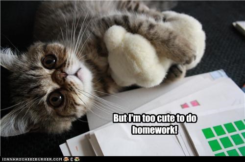 But I'm too cute to do homework!