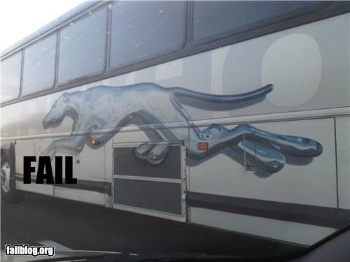 Hung Greyhound FAIL