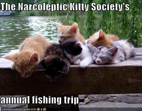The Narcoleptic Kitty Society's  annual fishing trip