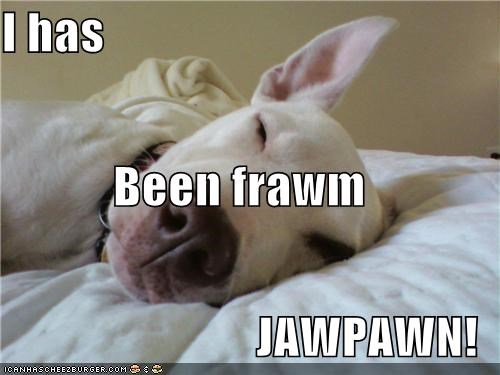 I has Been frawm JAWPAWN!