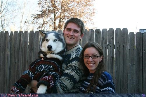 Dogs Hate Winter Sweaters