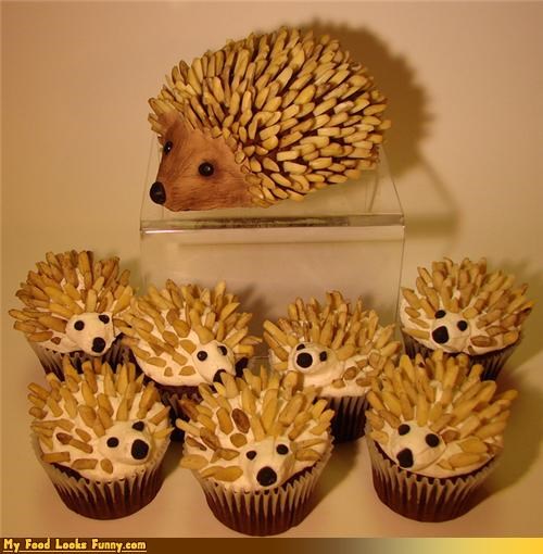 Funny food Photos - Hedgehog Cupcakes