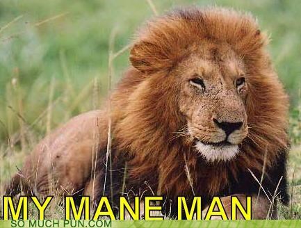 My Mane Man