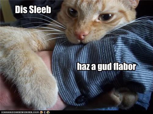 Dis Sleeb