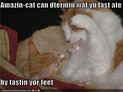 Amazin-cat can dtermin wat yu last ate   by tastin yor feet